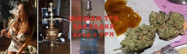 СК Инта