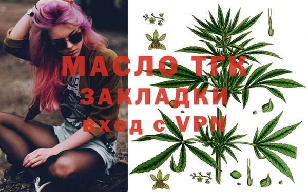 СК Инта