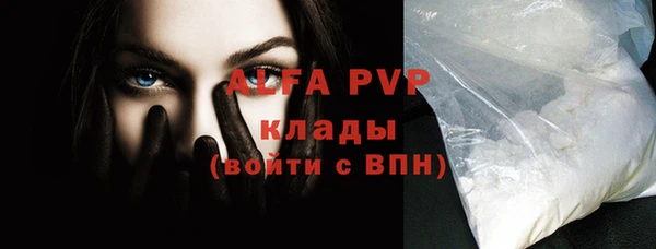 СК Инта