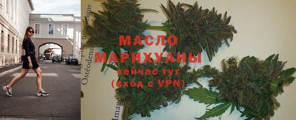 СК Инта