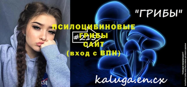 СК Инта